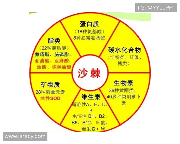 水果的营养价值与健康益处全解析，探索不同水果对身体的多重功效